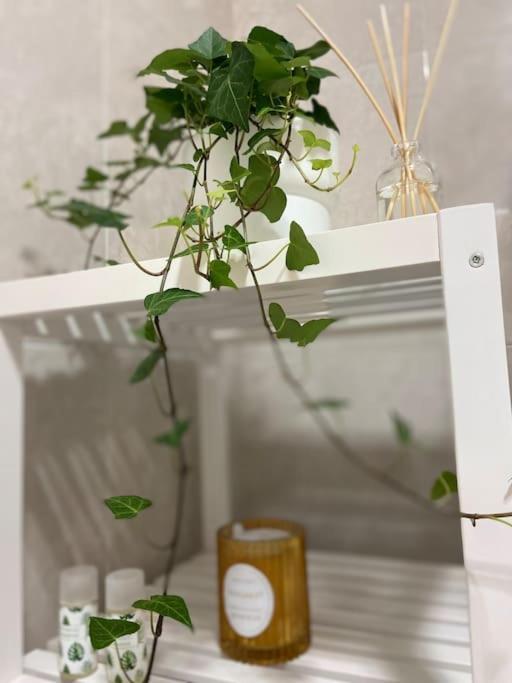 Apartament Casa Mina Kadyks Zewnętrze zdjęcie