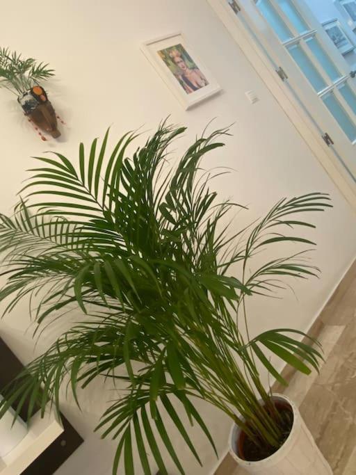 Apartament Casa Mina Kadyks Zewnętrze zdjęcie